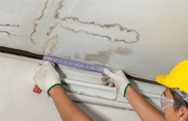Reliable Mold Remediation contractor in Morrison, CO by Water Damage Irwin